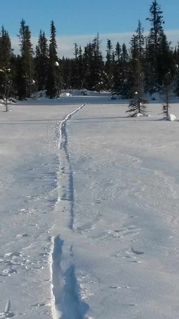 Egne skispor i gjenføyket MUSH-løype