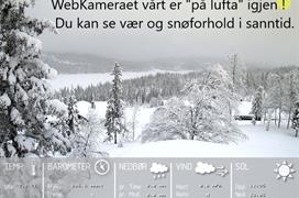 Nyheter